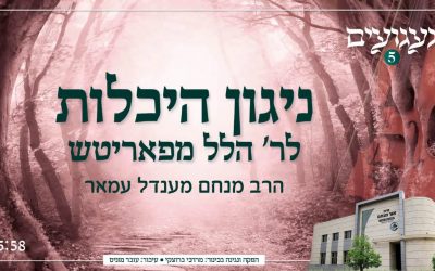 Nigunim Habad 5 – “Nigun du Rav Hillel de Paritch”, chanté par le Rav Menahem Amar