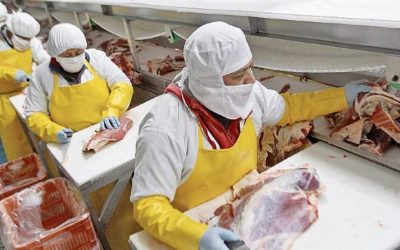 Argentine : La Chancellerie a créé un comité pour promouvoir l’exportation de viande Casher