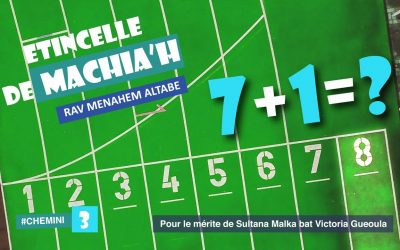 Etincelle de Machia&rsquo;h : 7 + 1 = ?