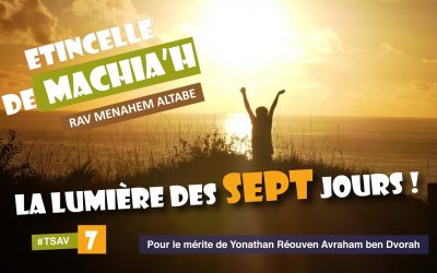 Etincelle de Machia&rsquo;h : La lumière des sept jours !