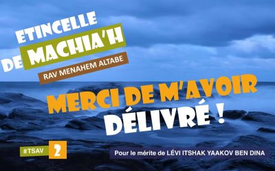 Etincelle de Machia&rsquo;h : Merci de m’avoir délivré !