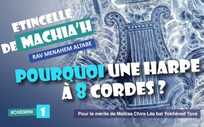 Etincelle de Machia&rsquo;h : Pourquoi une harpe à 8 cordes ?