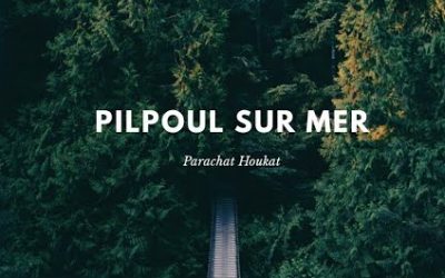 Pilpoul sur Mer : Parachat Houkat