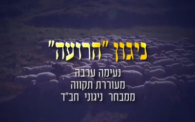 Nigun « Haroé », la mélodie du « berger », par le Rav Yeshayahou Gopin