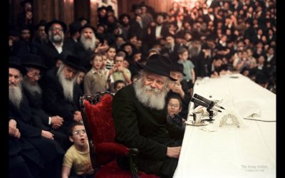 Vidéo du Rabbi :  « Un ordre de marche »