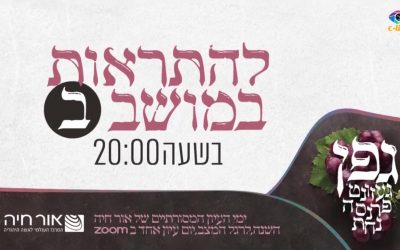 Mardi 28 juillet 19h00 (France) 20h00 (Israel) : Conférence Live féminine organisée par Or ‘Haya Jérusalem