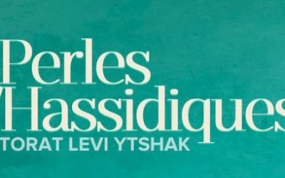 Perles Hassidiques
