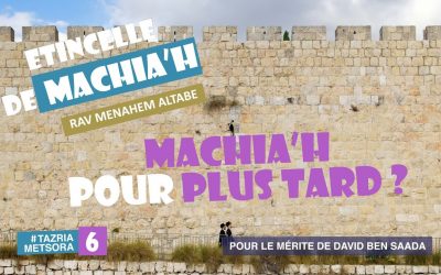 Etincelle de Machia&rsquo;h  » Machia’h, pour plus tard ?