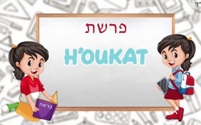 La Parachat &lsquo;Houkat pour les enfants