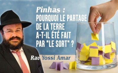 Pinhas: Pourquoi le partage de la terre d&rsquo;Israel a-t-il été fait par « le sort » ?