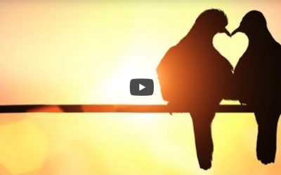 Ki Tetse: Quand devons-nous nous marier et quand divorcer? Quel relation entre partenaire et travail ?