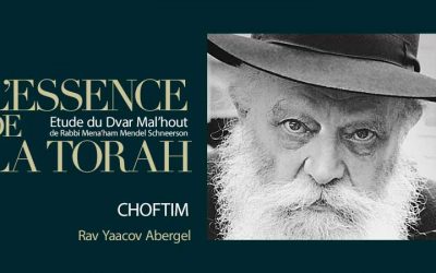 Audio. Dvar Malhout Parachat Choftim, par le Rav Yaacov Abergel