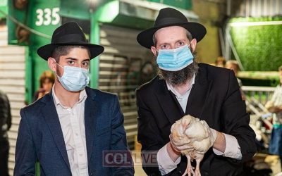 EN IMAGES. Kapparot Erev Yom Kippour à Crown Heights