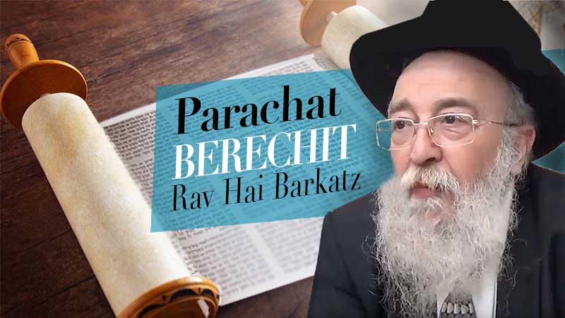 Parachat Béréchit 5781 par le Rav Haï Barkats