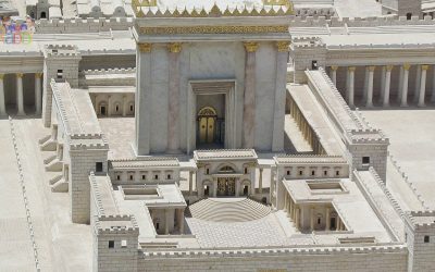 Mon Rabbi 156 – La pluie retardée | Si&rsquo;ha
