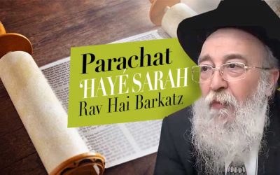 Parachat &lsquo;Hayé Sarah 5781 par le Rav Haï Barkatz