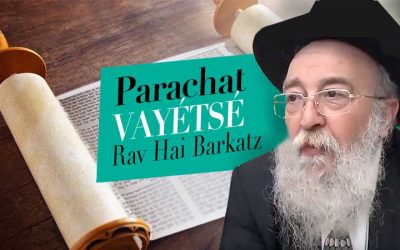 Parachat Vayétsé (5782), par le Rav Haï Barkatz