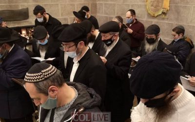 Ukraine : Téchouva le jour de la Hilloula de Rabbi Chnéor Zalman de Liadi à Haditch, le 24 Tevet 5781