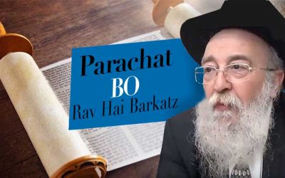 Parachat Bo par le Rav Haï Barkats
