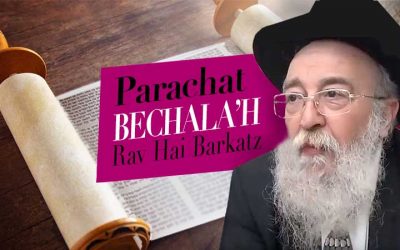Parachat Béchala’h par le Rav Haï Barkatz
