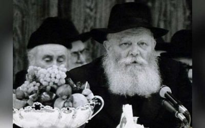 Vidéo du Rabbi : « fruits de bénédictions », 15 Chevat 5741