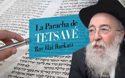 La Paracha de Tetsavé  par le Rav Haï Barkats