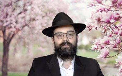 Chalom Bayit: Le respect | Rav Hillel M. Guez