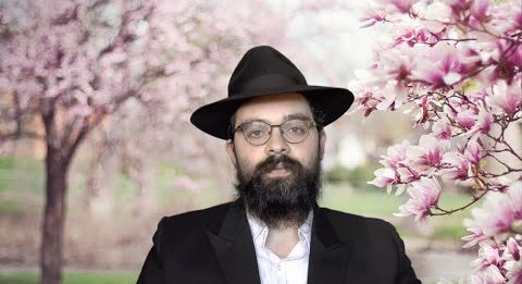 Chalom Bayit: Le respect | Rav Hillel M. Guez
