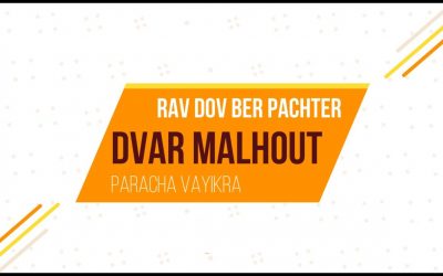 Dvar Malkhout Paracha de Vayikra, par le Rav Dov Ber Pachter
