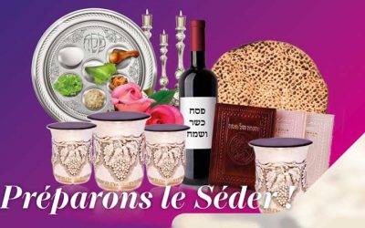 Préparons Le Seder de Pessa’h 5781 : Que devons-nous faire Jeudi 25 mars, vendredi 26 mars et Chabbat 27 mars ?