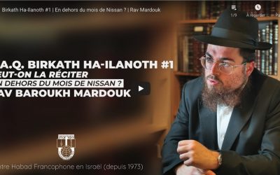 9 questions-réponses spéciales Birkath Ha-Ilanoth
