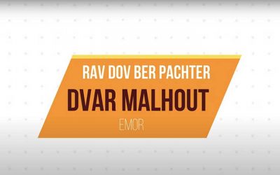 Dvar Malkhout : Parachat Émor