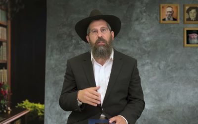 Réflexion sur la Paracha ‘Houkat : « La vache Rousse » selon les enseignements de Rabbi Levi Its’hak Schneerson