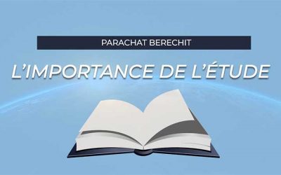 Béréchit – L’importance de l’étude – Un mot pour Chabbat