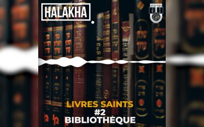 Halakha : Quel est le respect dû à une bibliothèque contenant des livres saints ?