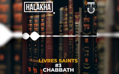 Halakha : Les livres durant Chabbath – tout est permis ?