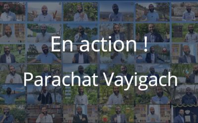 La parole mène à l’action : En action – Parachat Vayigach