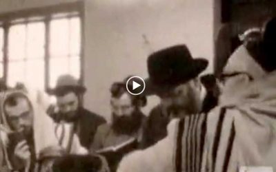 Vidéo inédite du Rabbi, des années 60,  pendant les Tefilot dans la petite shoul du 770