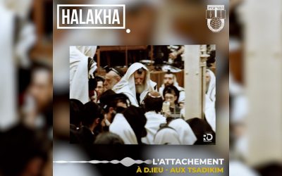 Halakha : L’attachement au Rabbi et la contradiction (ou pas…) avec l’exclusivité de la relation à D.ieu…