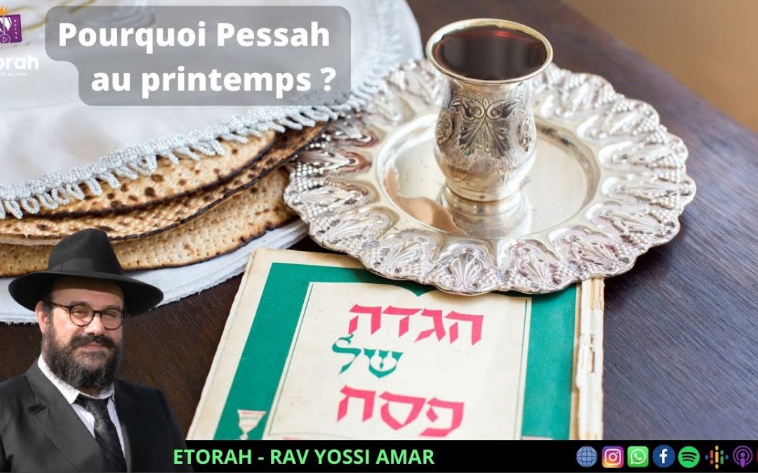 Pessah: Quel rapport entre Pessah et le printemps ? Quel point-commun entre Pessah et Chabbat ?
