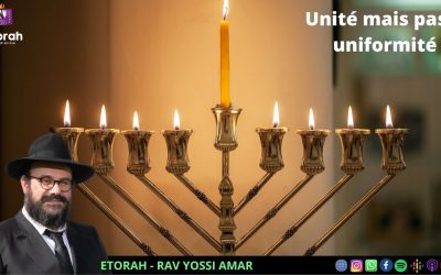 Behaaloteha: Que représente les sept branches d’une Menorah unie ? Deux approches complémentaires !