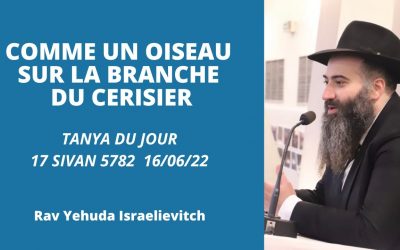 Comme un oiseau sur la branche du cerisier – Tanya du jour 17 Sivan 5782 – 16/06/22 – Rav Yehuda Israelievitch