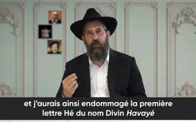 Réflexion sur la Paracha Balak, selon les enseignements de Rabbi Levi Ytshak Schneerson