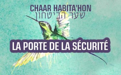 Chaar Habita’hon #2 : Est-il possible d’affronter les problèmes de la vie sans s’inquiéter?