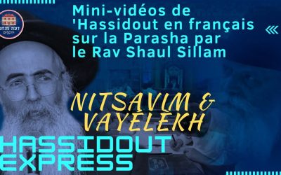 Nitsavim et Vayelekh, par le Rav Shaul Sillam