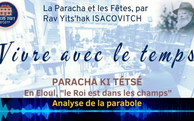 VIVRE AVEC LE TEMPS : PARACHA KI TETSE Analyse de la parabole « le Roi est dans les champs », par Rav Yits’hak ISACOVITCH;