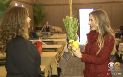 New York : CBS News présente un reportage sur la Souccah publique au coeur de Manhattan
