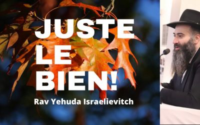 Juste le bien – Tanya du jour 2 Heshvan 5783 – 27/10/22 – Rav Yehuda Israelievitch