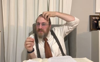 Parachat Noa&rsquo;h – Une tour au Paradis – Rav Chmouel Lewin