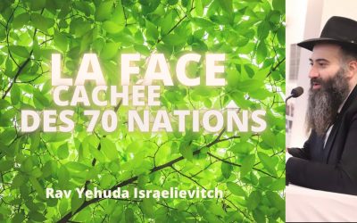 – Tanya du jour 28 Tichri 5783 – 23/10/22 – Rav Yehuda Israelievitch